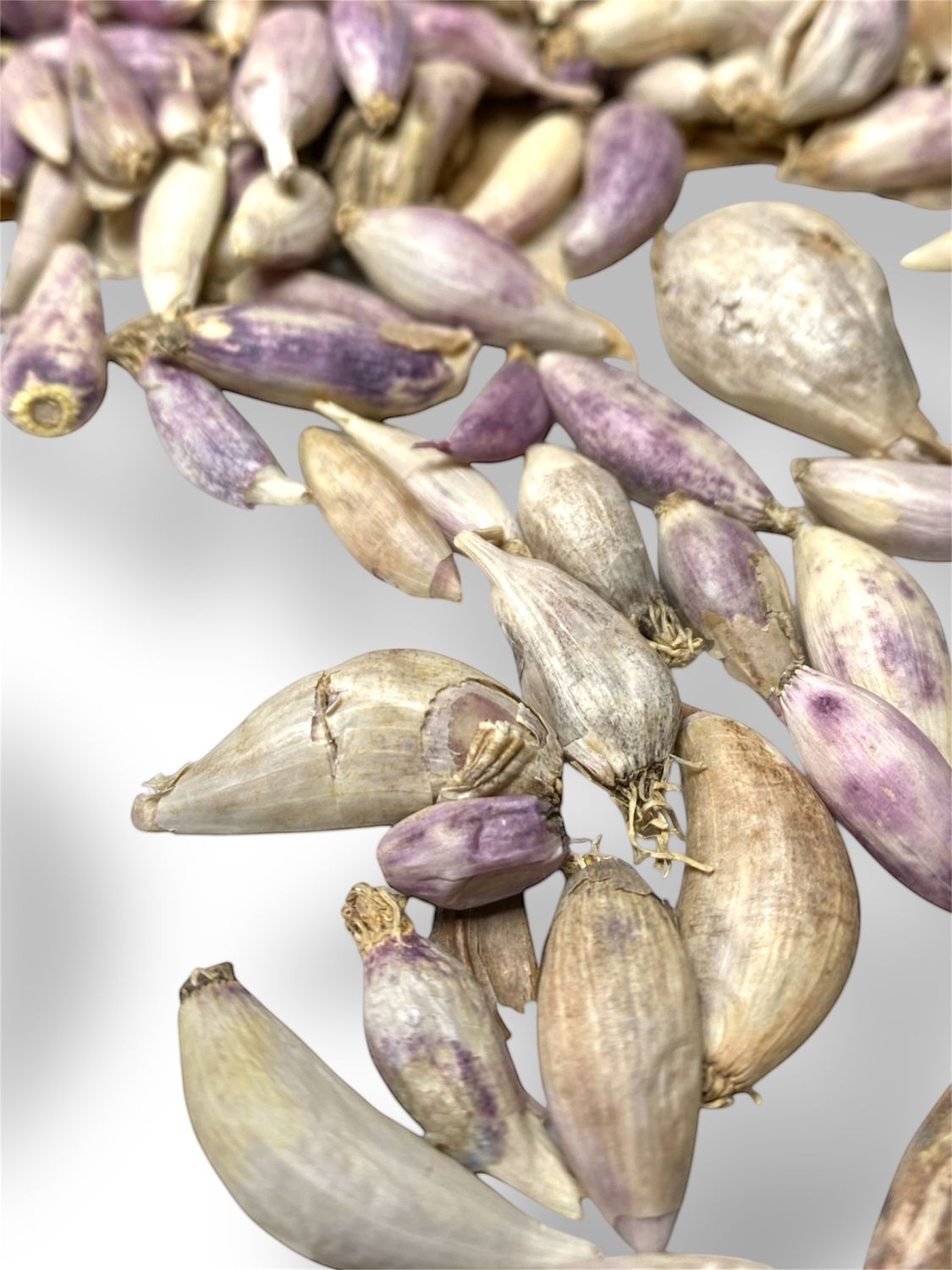 Male Garlic ثوم ذكر 