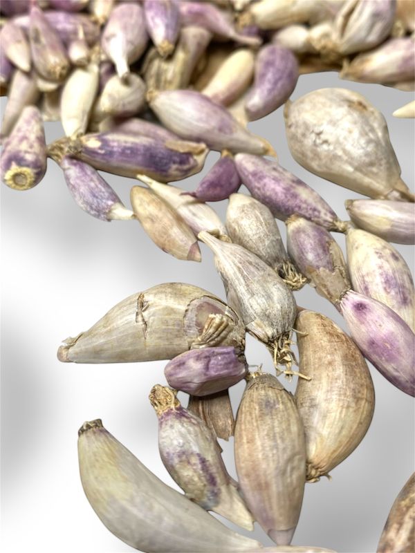 Male Garlic ثوم ذكر 