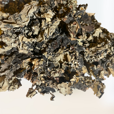 Dagad Black Stone Flower - الشيبة