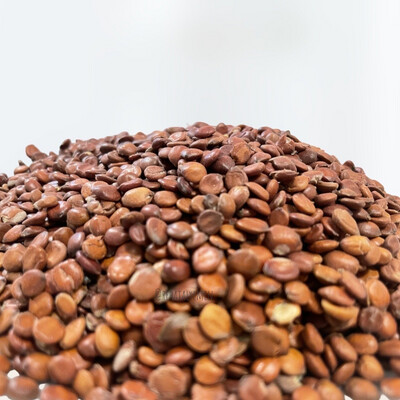 Ziziphus seeds 150g - بذور السدر