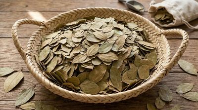 Sidr Dried Leaves (‏Ziziphus) -  ورق السدر
