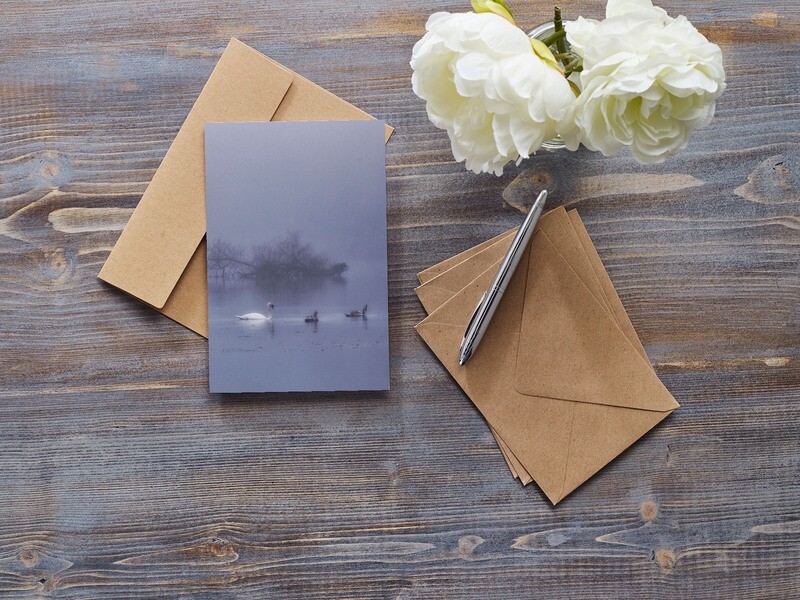 6&quot;x4 Fine Art Greeting card -  Swan and cygnets