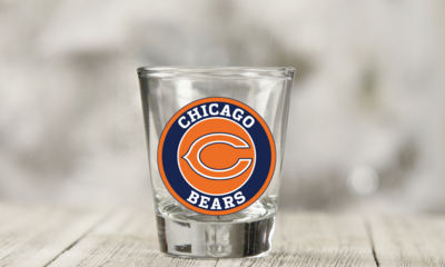 Bears Shot Decal