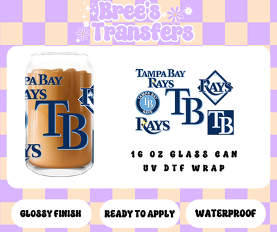 TAMPA BAY RAYS