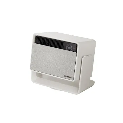 Home Projector