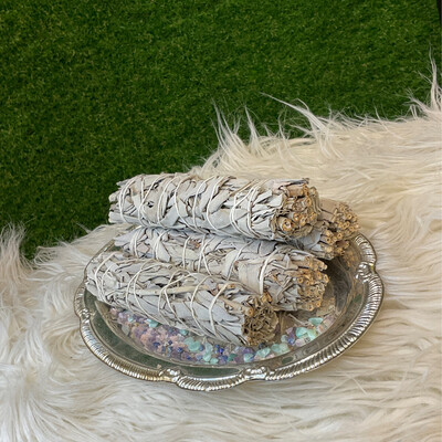 5"-7" WHITE SAGE