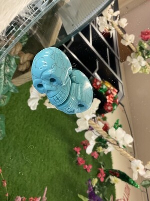 TURQUOISE SKULL