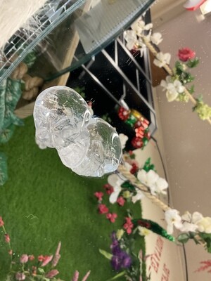 CLEAR QUARTZ SKULL