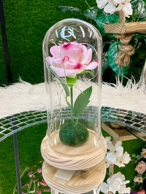 ROSE IN GLASS DOME