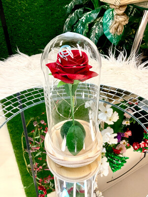 ROSE IN GLASS DOME