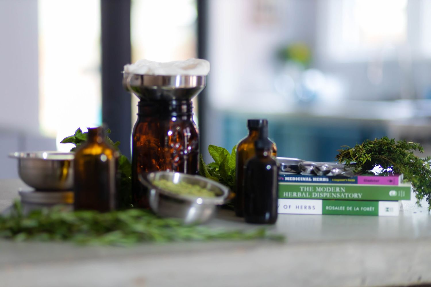 Elevate Health & Wellness Mentoring