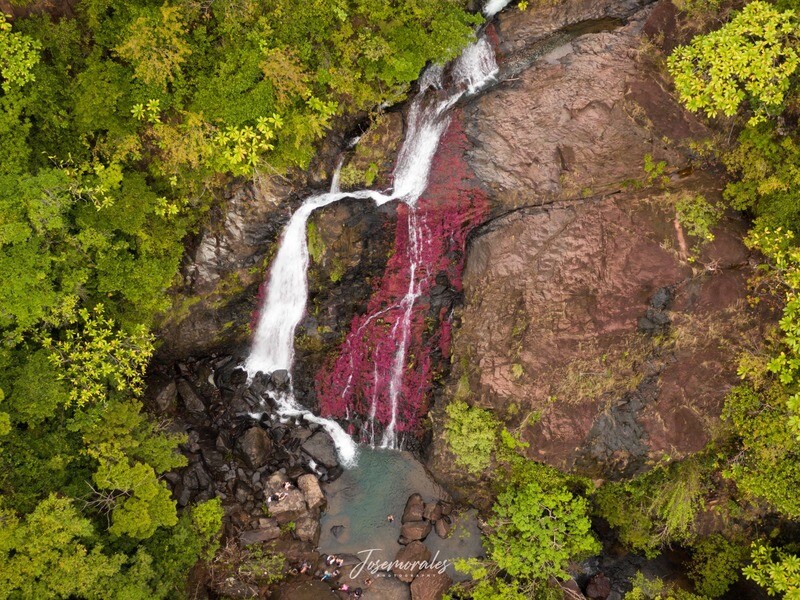 FULL DAY CASCADA EL CHORRILLITO - CIRCUITO DE 4 CAÍDAS DE AGUA (GRUPAL, COMPARTIDO DESDE PANAMA)