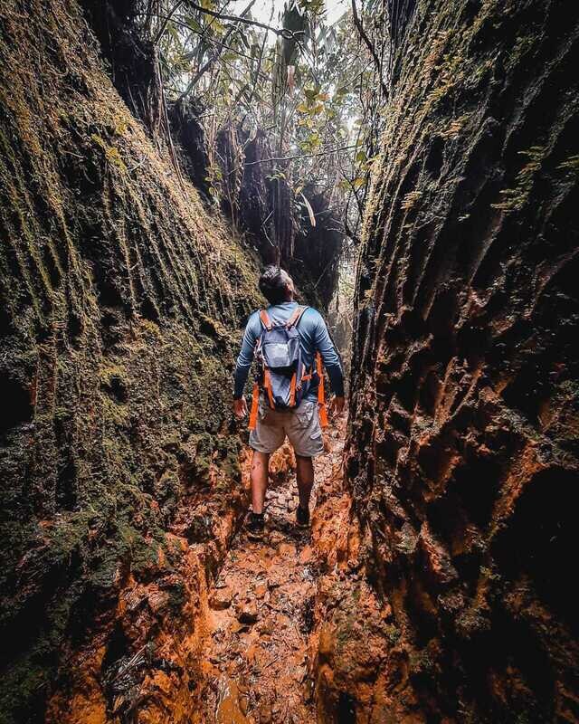 FULL DAY SENDERO EL PIANISTA DESDE BOQUETE, CHIRIQUÍ (TOUR COMPARTIDO)