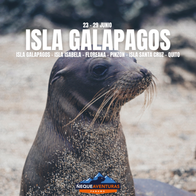 Tour Galapagos Junio 2024