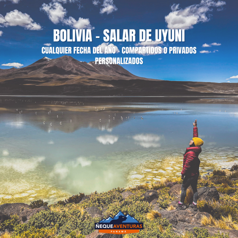 Tour a Bolivia: Salar de Uyuni y Altiplano en 8 Días (Experiencia Compartida desde 1 Persona)