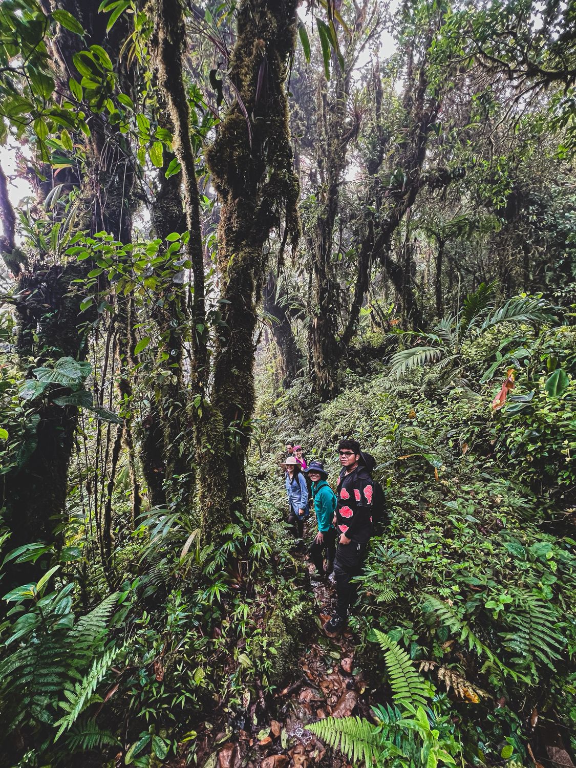 FULL DAY SENDERO EL PIANISTA DESDE BOQUETE, CHIRIQUÍ (TOUR PRIVADO PARA 4 PERSONAS)