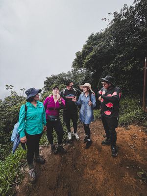 FULL DAY SENDERO EL PIANISTA DESDE BOQUETE, CHIRIQUÍ (TOUR COMPARTIDO)