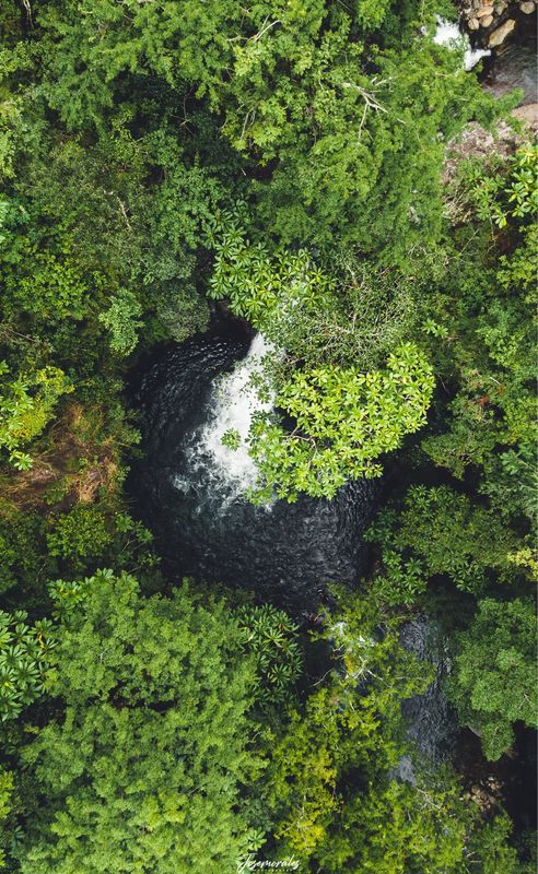 FULL DAY  CIRCUITO DE CASCADA JAWATTA, CHIRIQUÍ (TOUR COMPARTIDO)