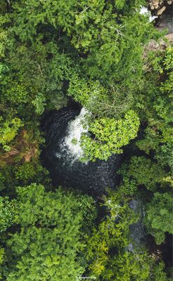 FULL DAY  CIRCUITO DE CASCADA JAWATTA, CHIRIQUÍ (TOUR COMPARTIDO)