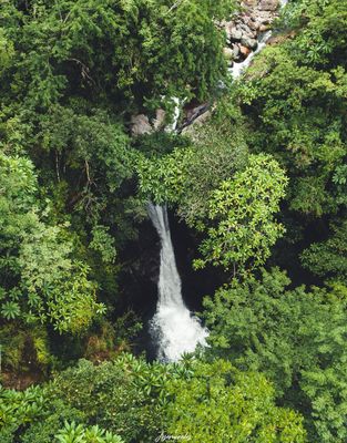 FULL DAY  CIRCUITO DE CASCADA JAWATTA, CHIRIQUÍ (TOUR COMPARTIDO)