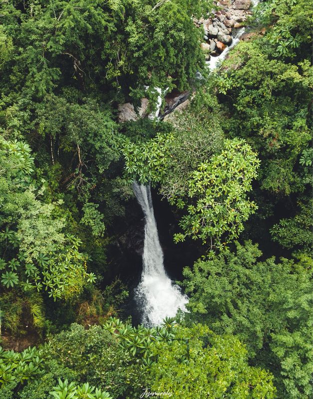 FULL DAY  CIRCUITO DE CASCADA JAWATTA, CHIRIQUÍ (TOUR COMPARTIDO)