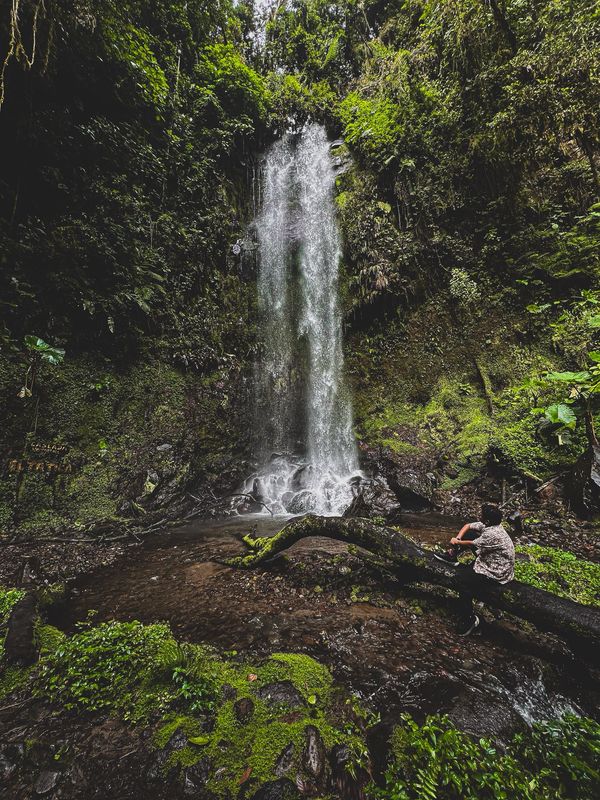 HALF DAY TOUR EN FRUTOS DEL BOSQUE (ZARZAMORAS) Y CASCADA TATICA, BOQUETE (TOUR COMPARTIDO O PRIVADO)