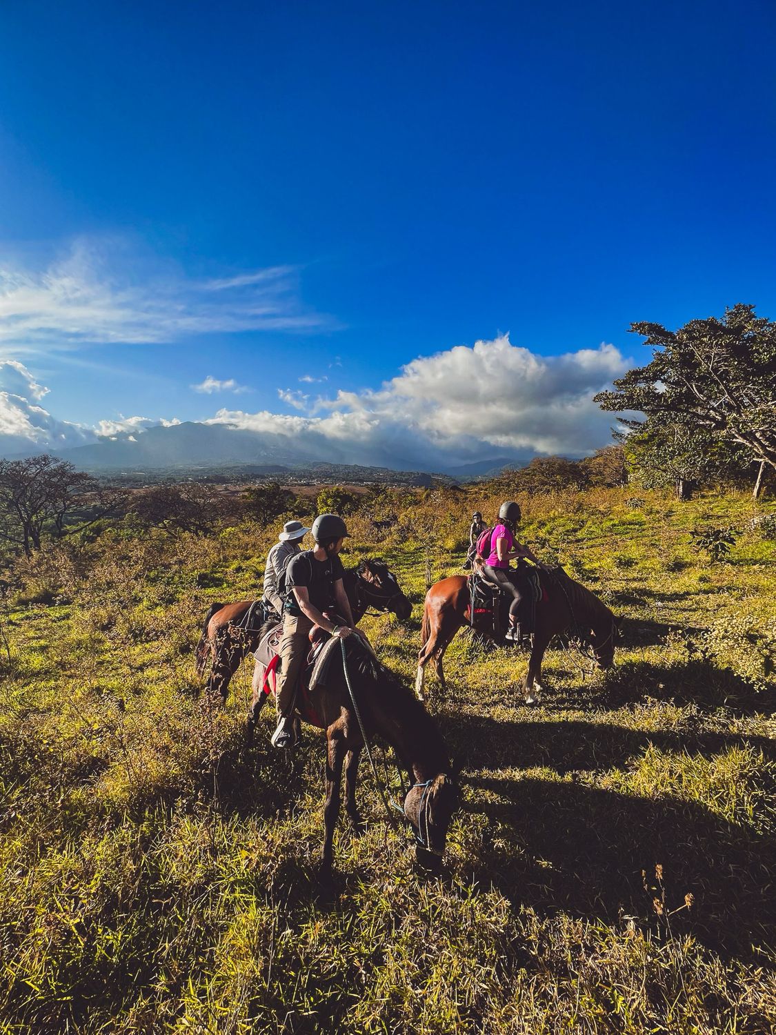 HALF DAY TOUR EN CABALGATA EN LA MONTAÑA, BOQUETE (TOUR COMPARTIDO O PRIVADO)