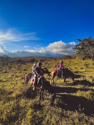 HALF DAY TOUR EN CABALGATA EN LA MONTAÑA, BOQUETE (TOUR COMPARTIDO O PRIVADO)