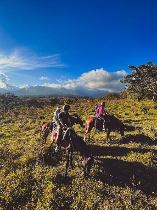 HALF DAY TOUR EN CABALGATA EN LA MONTAÑA, BOQUETE (TOUR COMPARTIDO O PRIVADO)