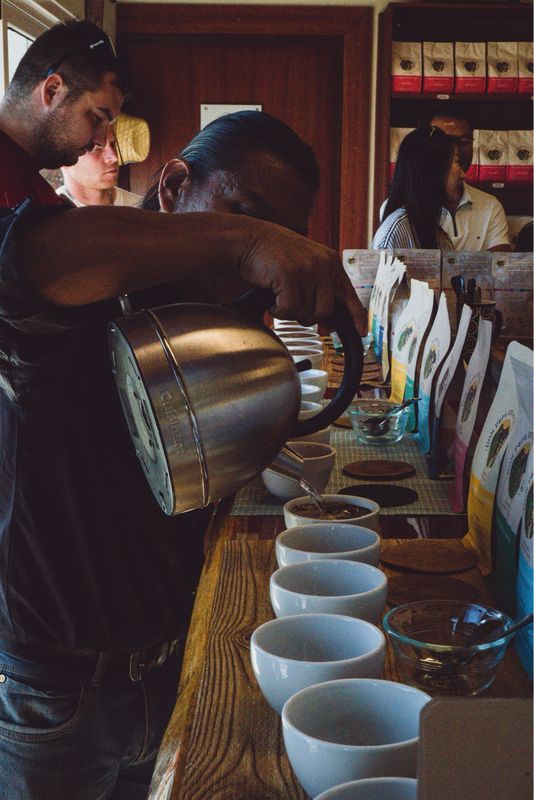 HALF DAY COFFE GOLD EXPERIENCE BOQUETE (TOUR COMPARTIDO O PRIVADO)