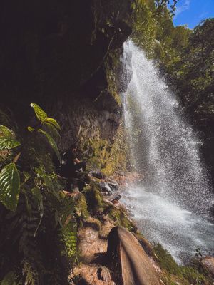 FULL DAY HIKE THE LOST WATERFALLS  , CHIRIQUÍ (TOUR COMPARTIDO O PRIVADO)