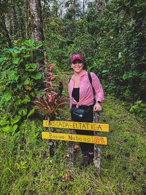 HALF DAY TOUR EN FRUTOS DEL BOSQUE (ZARZAMORAS) Y CASCADA TATICA, BOQUETE (TOUR COMPARTIDO O PRIVADO)