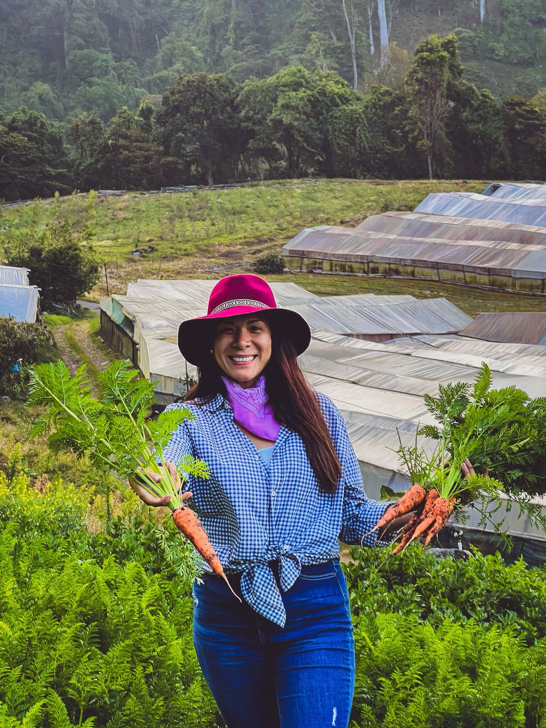 HALF DAY TOUR EN BOQUETE VEGGIES FARM TOUR , BOQUETE (TOUR COMPARTIDO O PRIVADO)