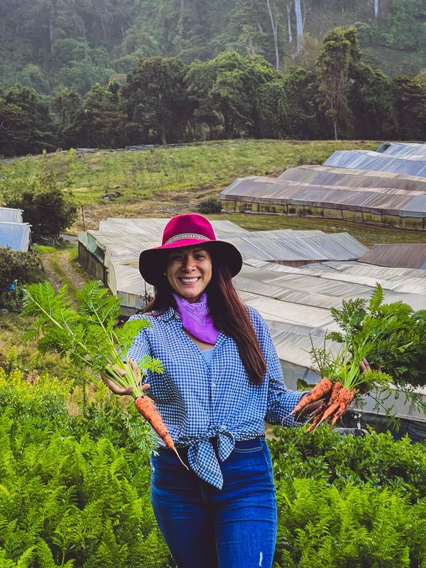 HALF DAY TOUR EN BOQUETE VEGGIES FARM TOUR , BOQUETE (TOUR COMPARTIDO O PRIVADO)