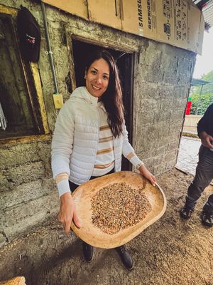 HALF DAY COFFEE ARTISAN EXPERIENCE, BOQUETE (TOUR COMPARTIDO O PRIVADO)