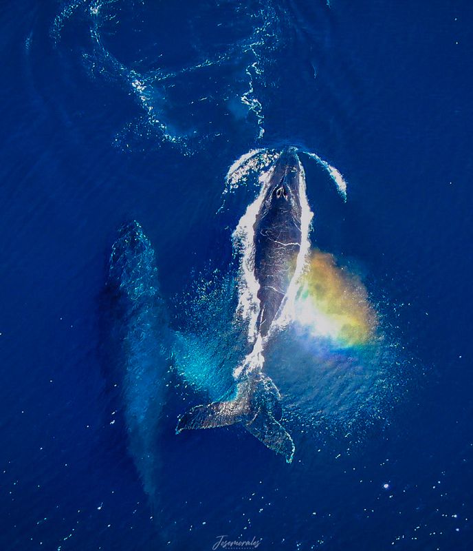 Ñeque Gift Experience