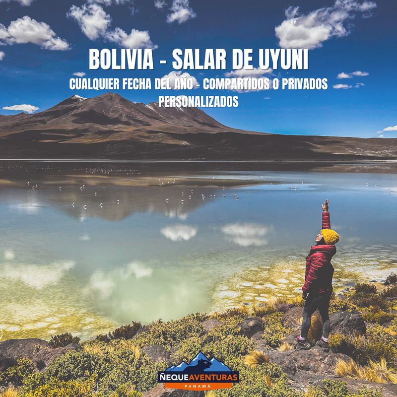 Tour a Bolivia: Salar de Uyuni y Altiplano en 8 Días (Experiencia PRIVADA desde 5 a 6 Personas)