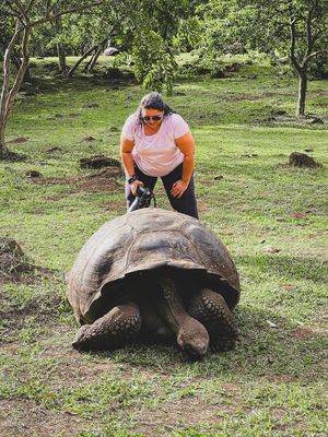 Tour Ecuador &amp; Galápagos 2028: Entre Volcanes, Islas y Vida Salvaje | 23 al 30 de Junio (GRUPAL)