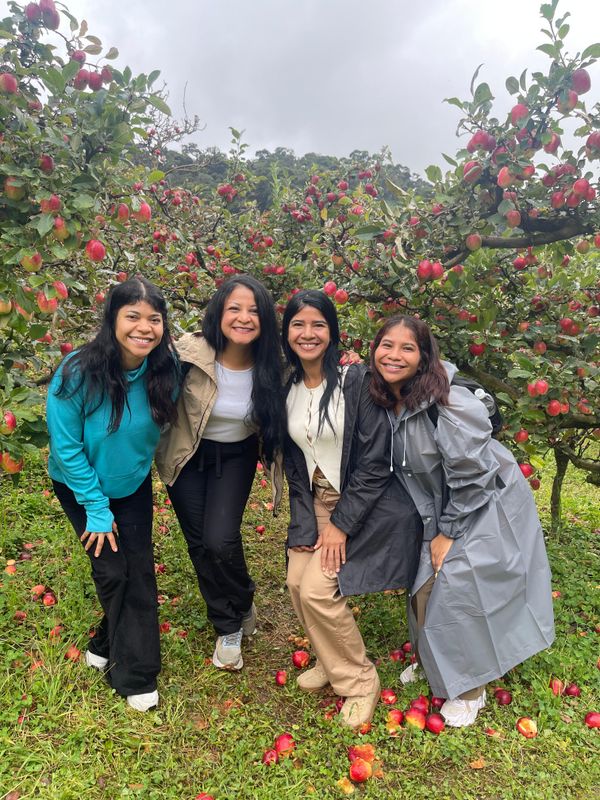 Tour Costa Rica: Apple Picking | 31 mayo - 4 junio 2027