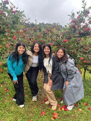 Tour Costa Rica: Apple Picking | 31 mayo - 4 junio 2027