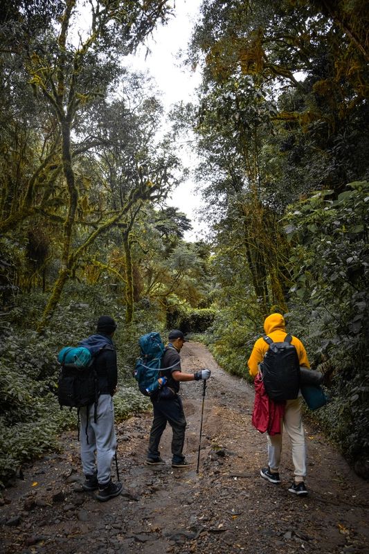 TOUR HIKE &amp; CAMPING VOLCÁN BARU RUTAS DESDE PASO ANCHO.