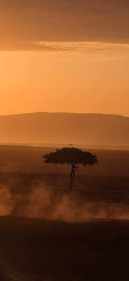 Tour Tanzania &amp; Zanzíbar: del corazón de la sabana a las playas del Índico
