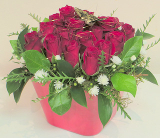 Trendy Roses