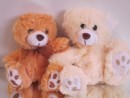 Teddy