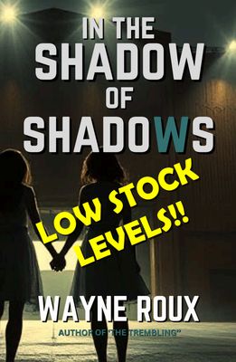 BOOK: IN THE SHADOW OF SHADOWS by WAYNE ROUX