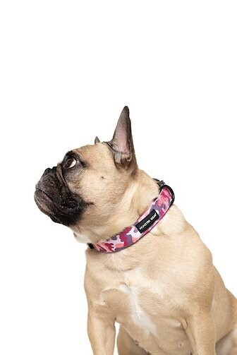 Monstar Wear Pink Camo Collar