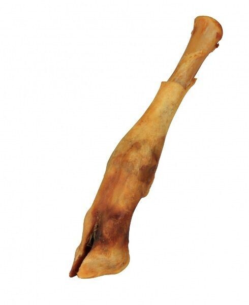 Lamb Foot
