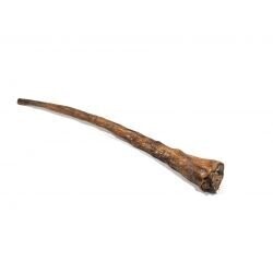 Buffalo Tail