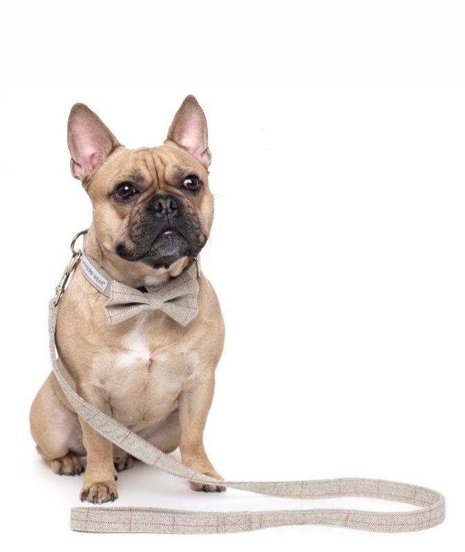 Monstar Wear Tweed Lead