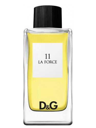 La Force 11 by Dolce &amp; Gabbana